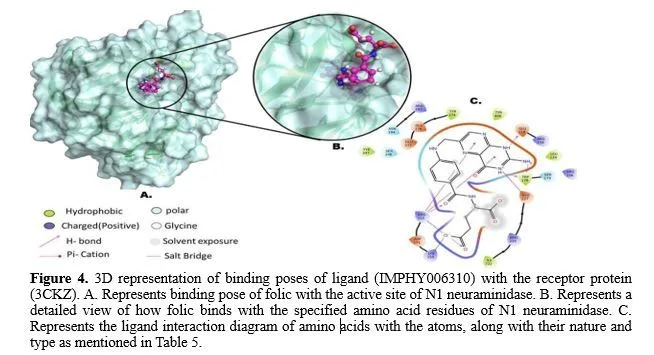 In-Silico Studies of Phytochemicals from Allium sativum with H5N1 Protein in Avian Influenza 5 figures