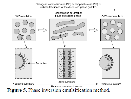 A Review on Nano-emulsion for Delivery of Anti-cancer Drugs 6 figures