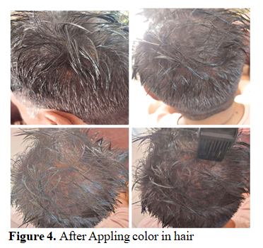 Method of Making Organic Insecticides, Hair Color and Lip Lotion by Utilizing Natural Constituents 5 figures
