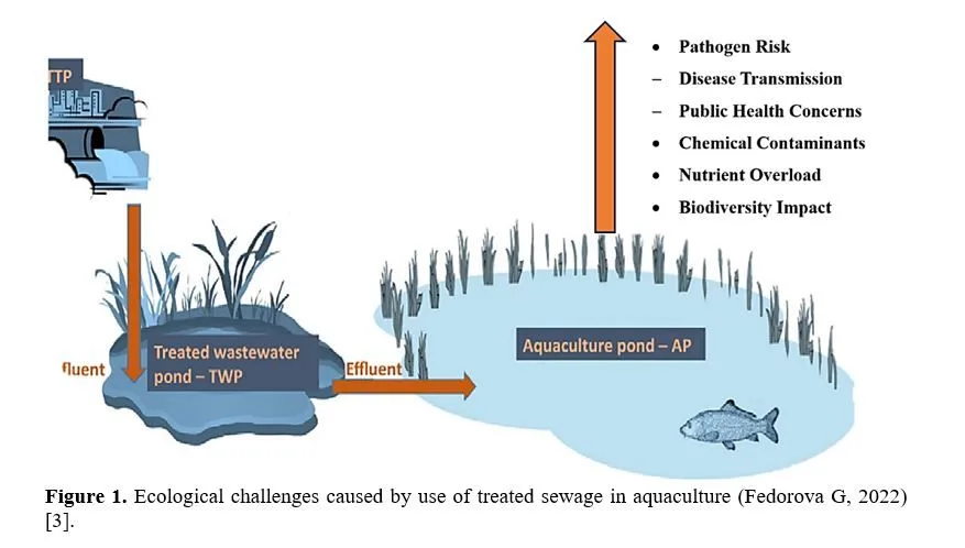 Treated Sewage in Fish Farming and Ecological Challenges 2 figures
