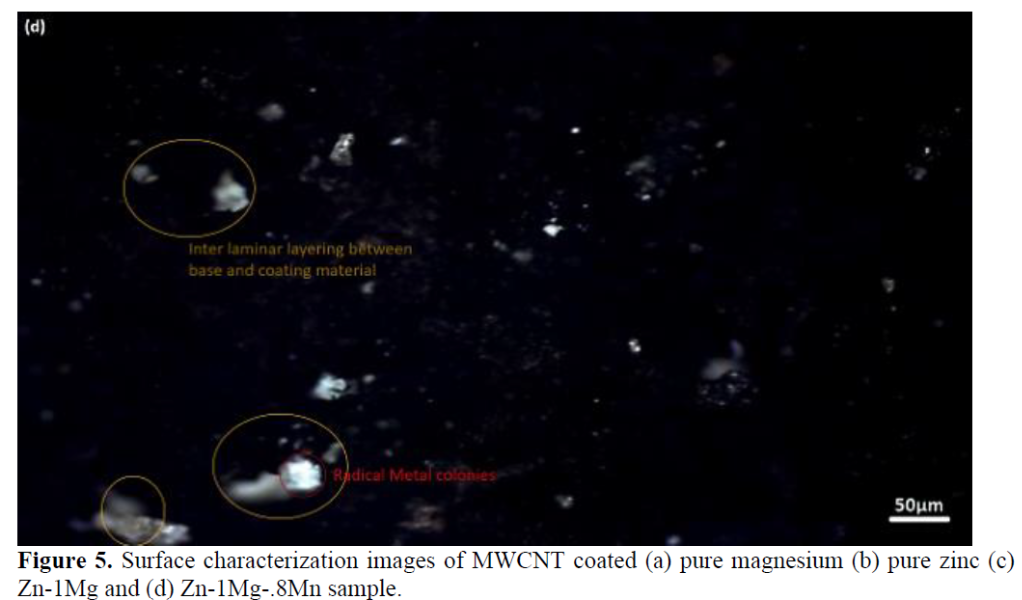 Fabrication and Characterization of Zinc-based Alloy for Bio-implants 11 figures