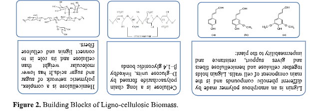 Agro- residue Pretreatment Tools and Techniques: A Detailed review 3 figures
