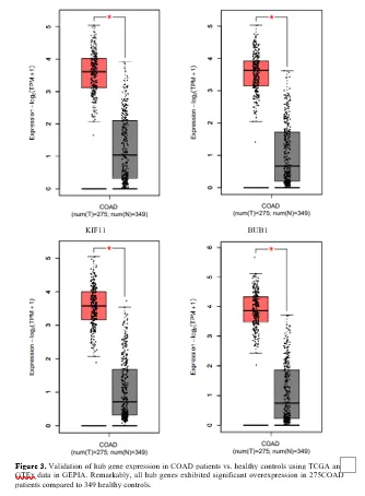 Gene prioritization of colorectal cancer using computational approach 6 figures