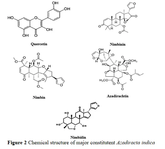 A Comprehensive Review on Pharmacological and Therapeutic Uses of Azadirachta Indica in the Treatment of Various Diseases 3 figures