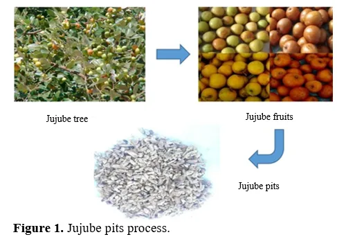 Development and Evaluation of Sodium Hydroxide-Treated Jujube Pit Reinforced Epoxy Composites 2 figures