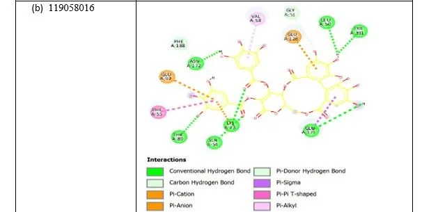 Anti-hyperglycemia Effects of Plant Secondary Metabolites Towards PKA/CREB Pathway Activation in Diabesity 12 figures