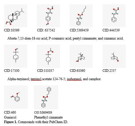 Multi-Target Molecular Docking of Anantmul (Hemidesmus indicus) Compounds for Tay-Sachs Disease Treatment 2 figures