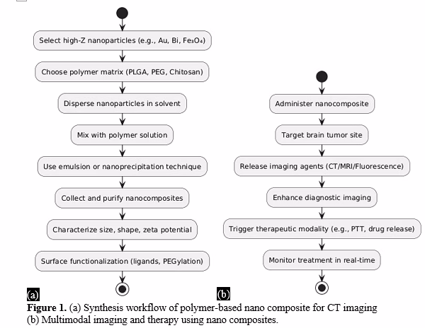 A Comprehensive Review on Nanostructured Polymer Composites for CT Imaging Contrast Enhancement in Brain Tumor Diagnosis 2 figures