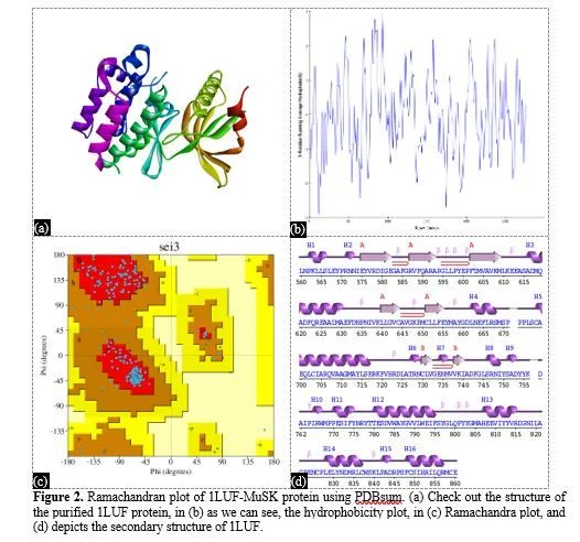 Exploring Potential Phytochemicals for Myasthenia Gravis Treatment: A Molecular Docking and ADME Analysis Approach 3 figures