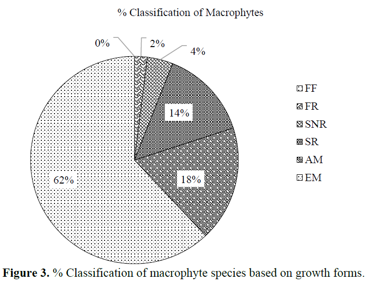 Preliminary Survey & Documentation of Wetland Macrophyte Diversity from Chargaon Lake in Warora Taluka, Dist. Chandrapur Maharashtra, India 4 figures
