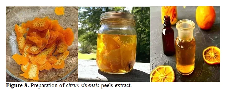Hydro-alcoholic Extract of Herbal Formulation and Evaluation of Papaya leaf And Orange Peel for treatment of Dengue Fever 9 figures