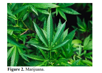 Drug abuse in Teenagers 3 figures