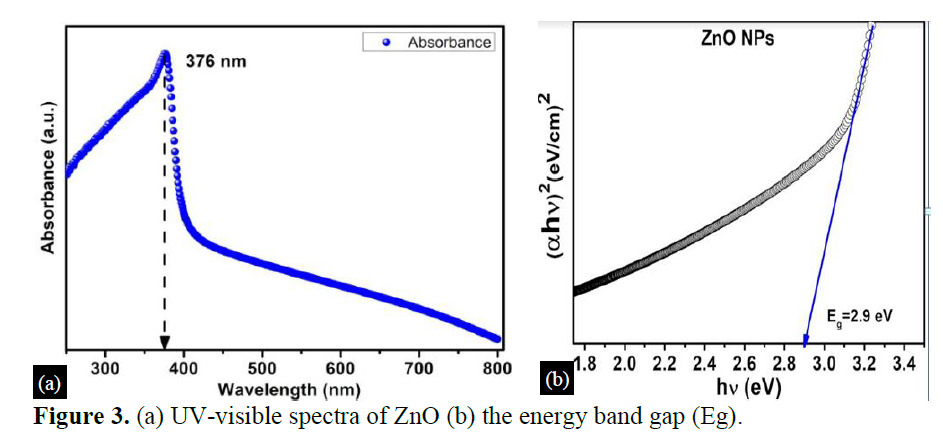 A Comparative Study of Zinc Oxide Nano Particles Synthesized by Hydrothermal, Sol-gel and Thermal Decomposition 4 figures