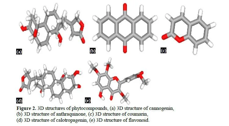 Anticancer Activity of Calotropis procera by Molecular Docking Analysis 3 figures