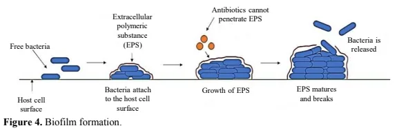 Impact of Therapeutics on Carbapenem-Resistant <em>Acinetobacter baumannii</em> 5 figures