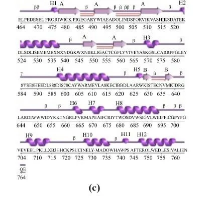 In Silico Molecular Docking of Indigofera tinctoria Phytocompounds to Target EGFR/ERK and FGFR/FGF Pathway Proteins Involved in Prostate Cancer 7 figures