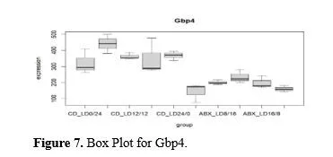 Light-Dark Cycle Disruption in Hypothalamus Tissue of Mus Musculus Causes Change in the Expression of Gm45928 Gene 8 figures