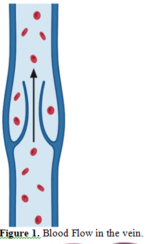 Hemoglobin is the Breath of Life within Our Cells: An Update 2 figures