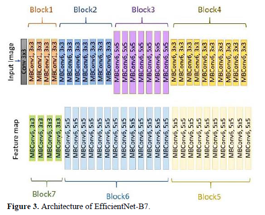 Automatic Detection of Misplaced Tubes and Catheters Using EfficientNet B7 4 figures