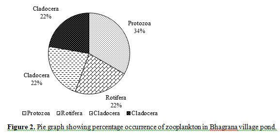 Phytoplankton And Zooplankton Assessment From A Pond In Bhagrana, Fatehgarh Sahib, Punjab, India 3 figures