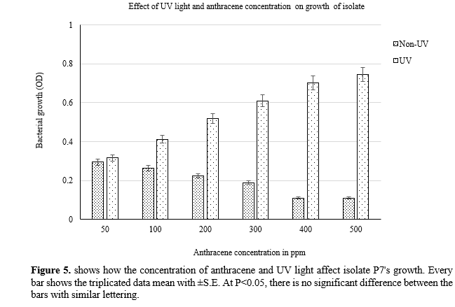 Investigations Into the Potential for Anthracene Decomposition of Novel Soil Bacterium, Pseudomonas putida P7 9 figures