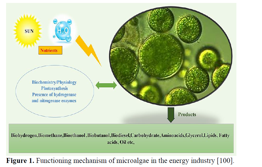 Key Issues in Biofuel Production from Microalgae: A Review 2 figures