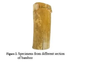 Analysis of Bamboo Strength for Structural Material 3 figures