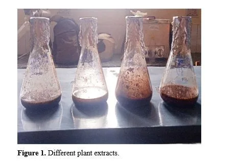 Study on Extraction and Purification of Phytochemicals from Eichhornia Crassipes Leaves 2 figures