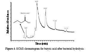 Production of n-Butanol from Biomass by Two Step Fermentation Process Using Staphylococcus Sciuri 5 figures