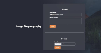 Vault Fortify: A Secure Data Sharing Platform 8 figures