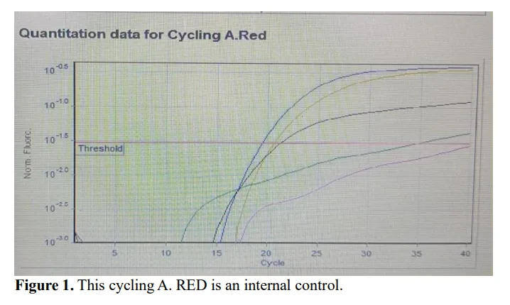 Comparison of a Human Papillomavirus Test with the Hybrid Capture 2 and a Real-Time PCR Method for 18 High-Risk and Low-Risk Human Papillomavirus Infections in Women 2 figures
