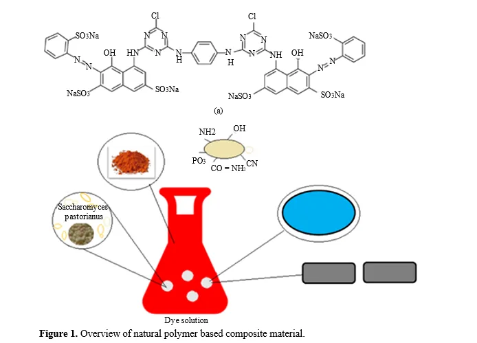 Biosorption In Polymer Composites: Harnessing the Potential of Natural Materials for Enhanced Mechanical Properties and Efficient Medical Device Fabrication 2 figures