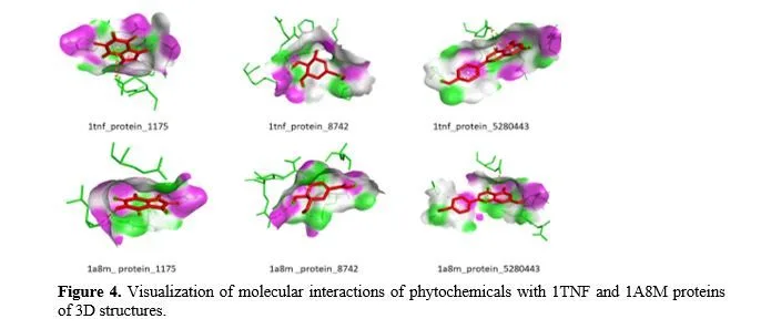 Exploring Phytochemicals from Ricinus Communis for Potential Therapeutic Applications in Rheumatoid Arthritis: An in-Silico Approach 5 figures