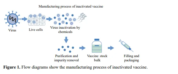 Universal Immunization Program in India 2 figures