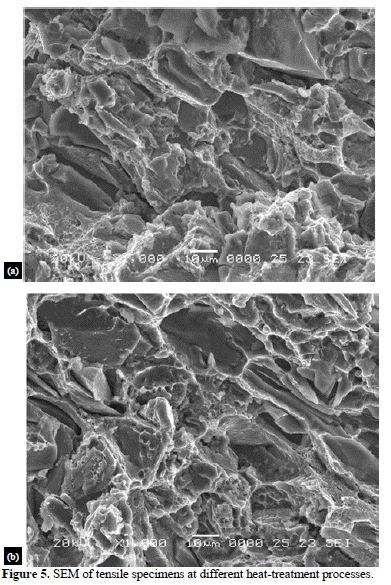 Fracture behavior of 2124Al- 10vol% SiCp composite tensile specimens for different heat treatment conditions 6 figures