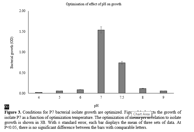 Investigations Into the Potential for Anthracene Decomposition of Novel Soil Bacterium, Pseudomonas putida P7 6 figures