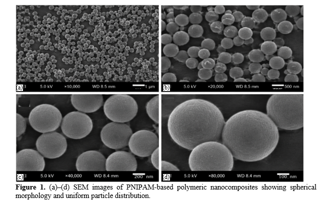 Design and Evaluation of Thermo-Responsive Poly(N-isopropylacrylamide)-Based Polymeric Nanoparticles for Temperature-Triggered Intratumoral Release of Doxorubicin in Solid Tumors 2 figures