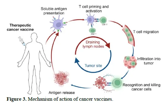 Immunotherapy Advancements in Cancer Treatment 4 figures
