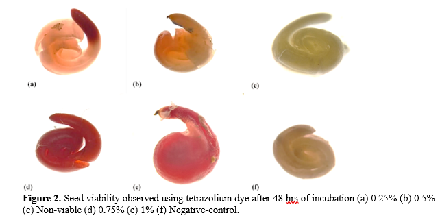Optimization of Seed Viability Tests for Humulus lupulus 3 figures