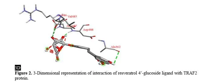 Stilbenes: A Molecular Docking and ADMET Analysis Approach on an Emerging Resource for Scavenging Reactive Oxygen Species in the Field of Colon Malignancy 3 figures
