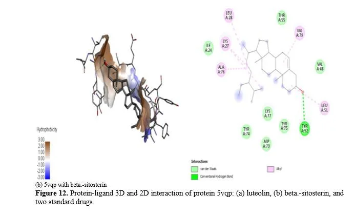 Computational Screening of Vitex negundo Compounds for Potential Arthritis Therapies in India 15 figures