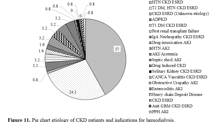 Determining the Root Causes of Complications in Hemodialysis Maintenance Therapy 12 figures