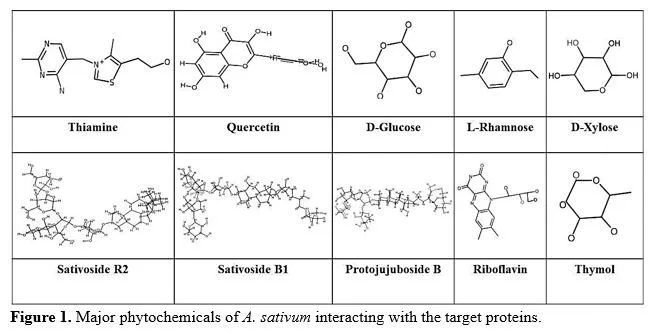 In-Silico Studies of Phytochemicals from Allium sativum with H5N1 Protein in Avian Influenza 2 figures