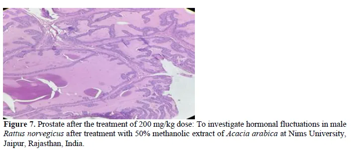 To Investigate Hormonal Fluctuations in Male Rattus norvegicus after Treatment with 50% Methanolic Extract of Acacia arabica 8 figures