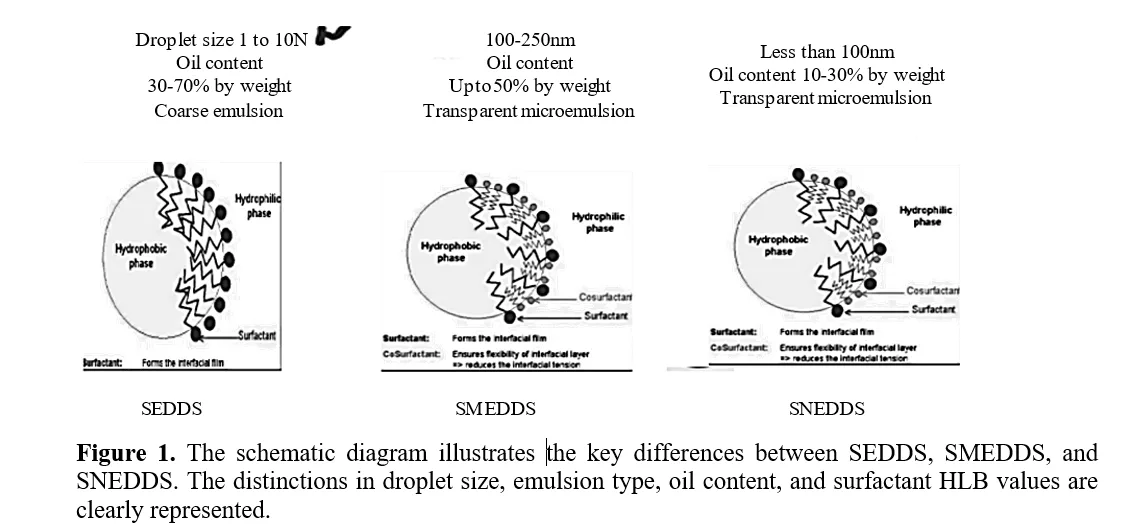 An Insightful Study on SMEDDS Challenges and Potential Strategies 2 figures