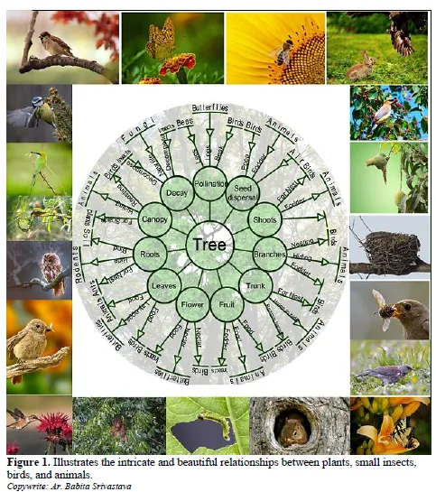 Species Interdependence and Biodiversity 2 figures