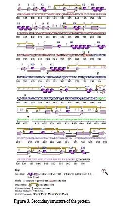 Exploring Azadirachta indica’s Potential to Combat Visceral Leishmaniasis Through GP63 Inhibition 4 figures