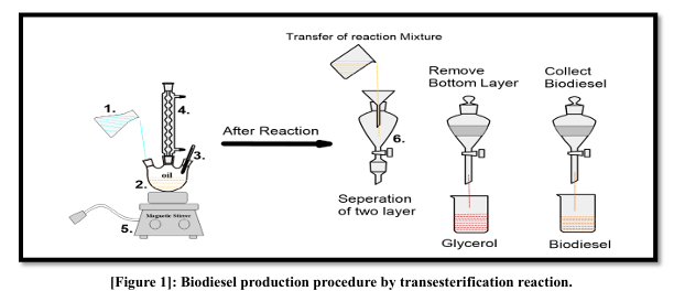 Optimisation of Biodiesel synthesis process from various edible oils using KOH and NaOH as homogeneous catalysts 2 figures