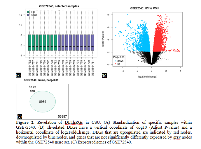 Deciphering Th-Related Gene Interactions in Chronic Spontaneous Urticaria: Bioinformatics Insights and Drug Affinity Exploration 3 figures