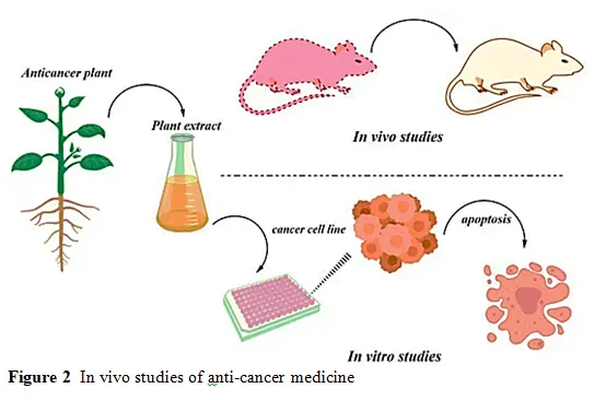 Botanical Blockade: Phytochemical Targeting Of Nf-Κb in Cancer Therapy 3 figures
